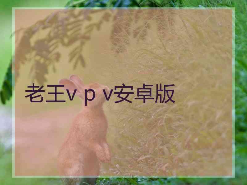 老王v p v安卓版