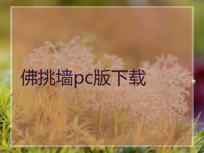 佛挑墙pc版下载