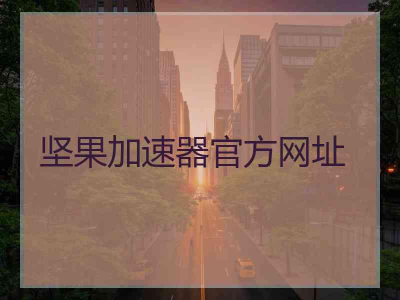 坚果加速器官方网址