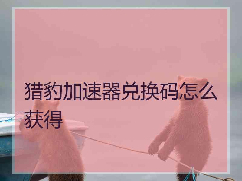 猎豹加速器兑换码怎么获得