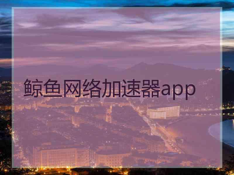 鲸鱼网络加速器app