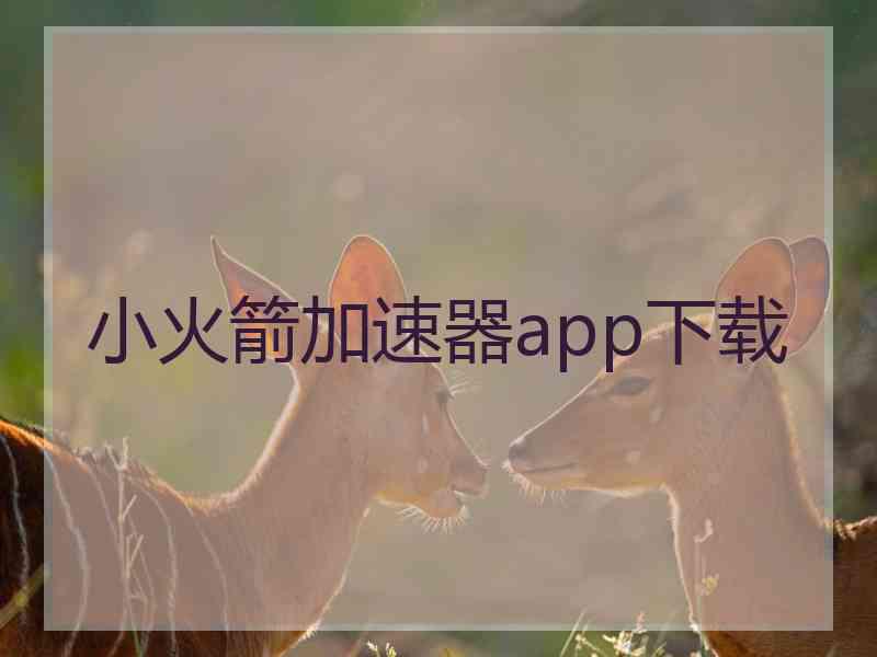 小火箭加速器app下载