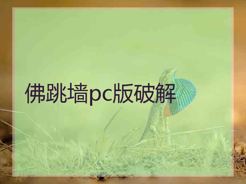 佛跳墙pc版破解