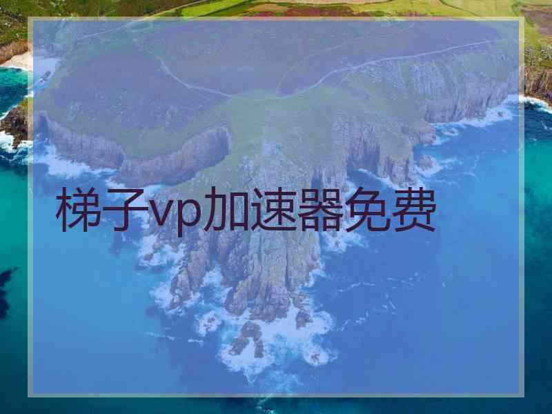 梯子vp加速器免费