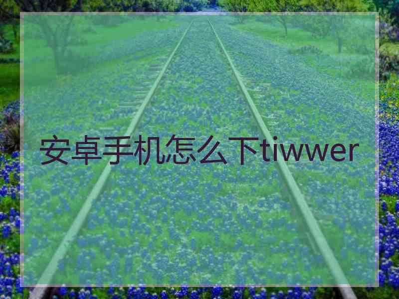 安卓手机怎么下tiwwer