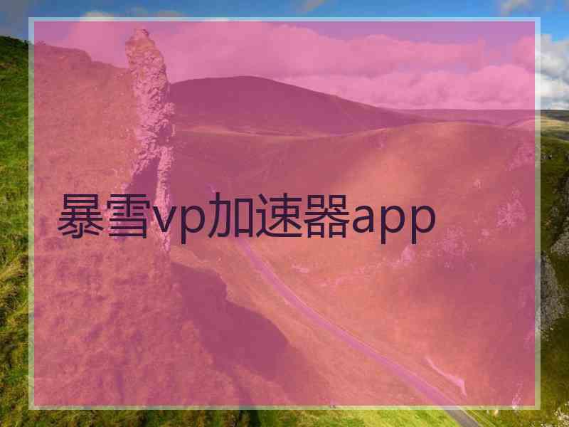 暴雪vp加速器app