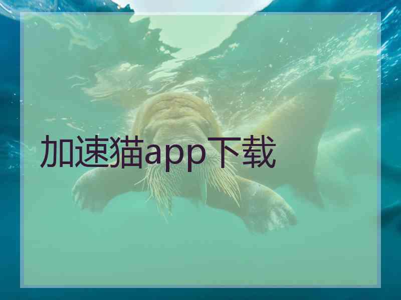 加速猫app下载