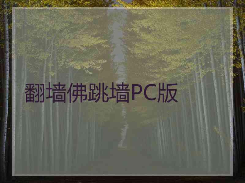 翻墙佛跳墙PC版