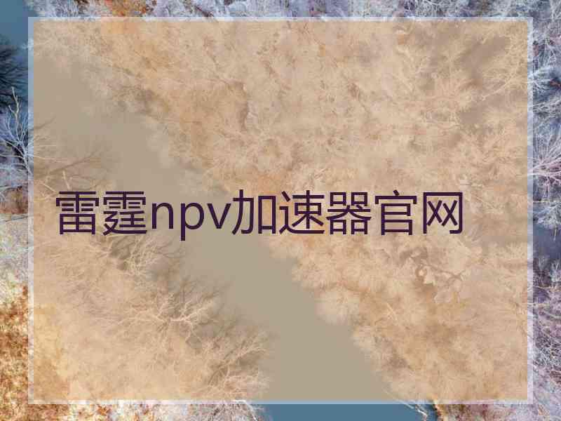 雷霆npv加速器官网