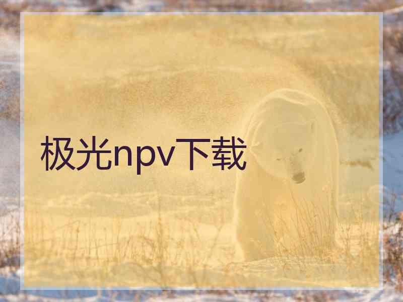 极光npv下载