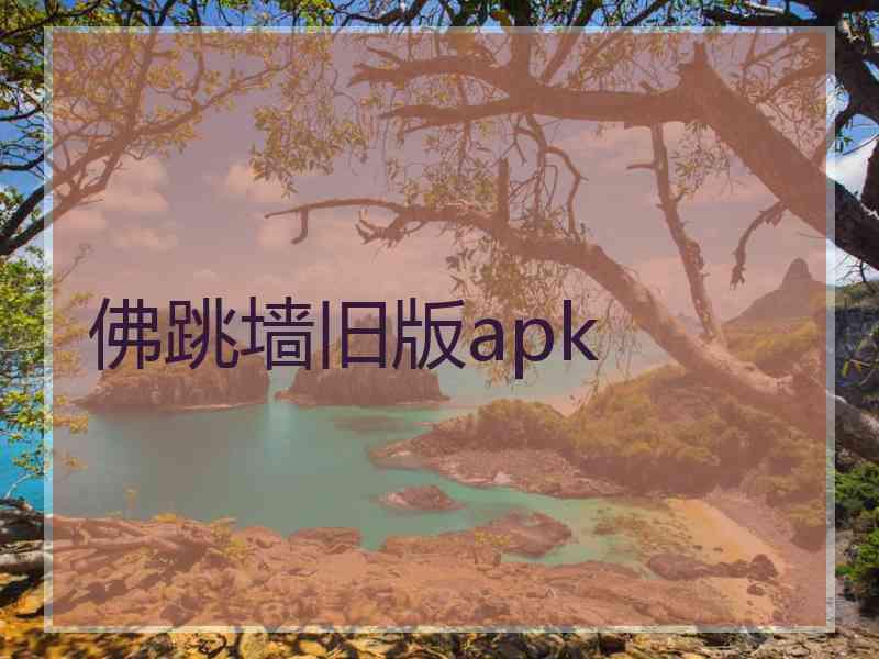 佛跳墙旧版apk