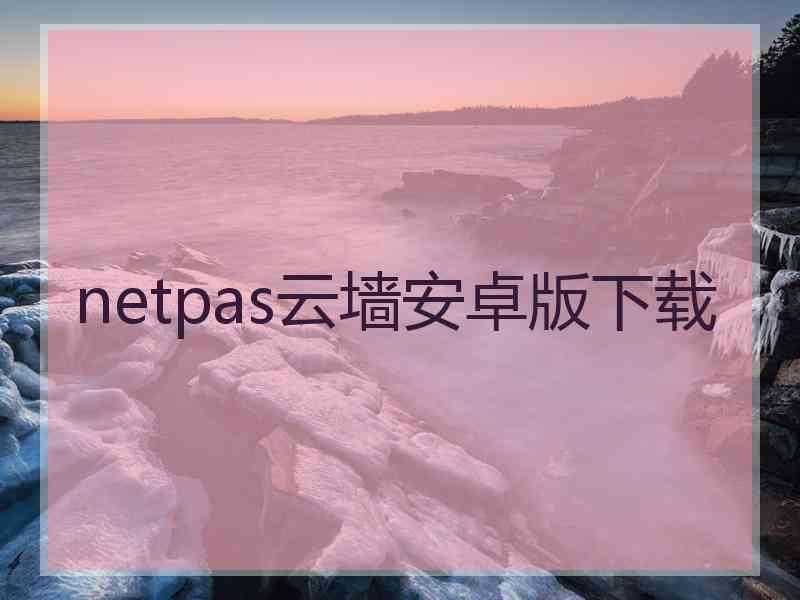 netpas云墙安卓版下载