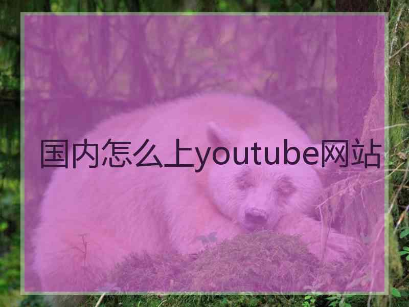 国内怎么上youtube网站