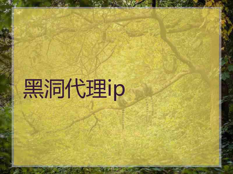 黑洞代理ip