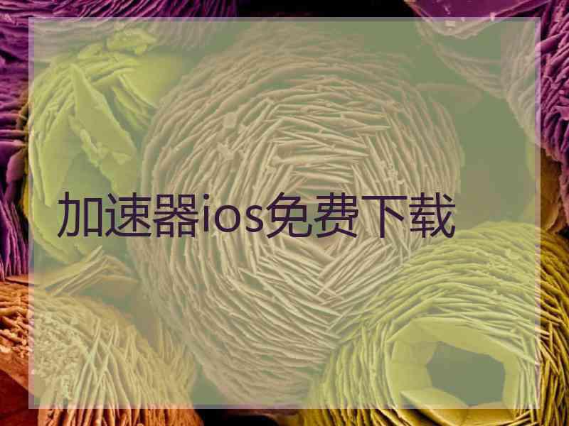 加速器ios免费下载