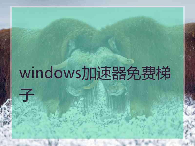 windows加速器免费梯子