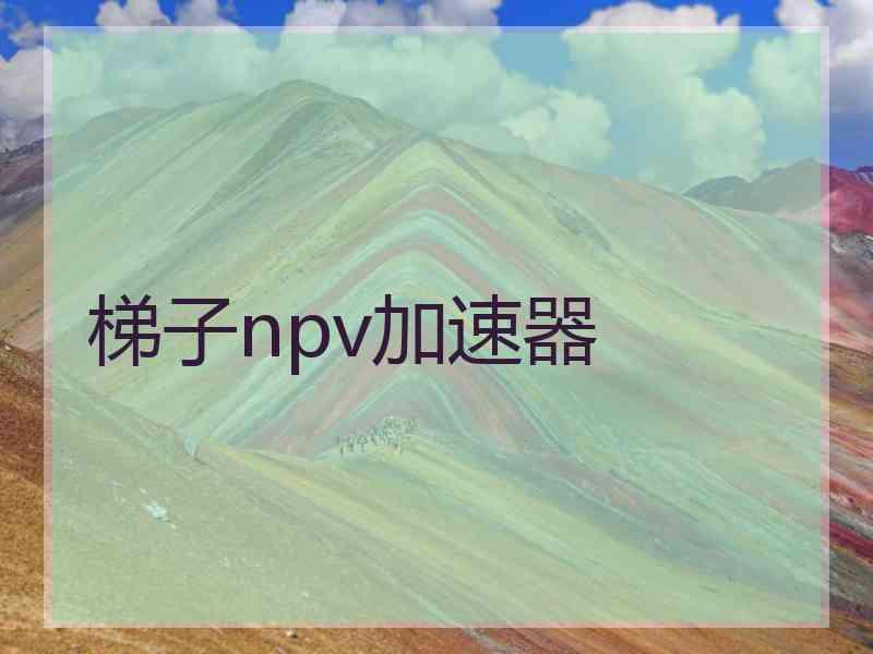 梯子npv加速器