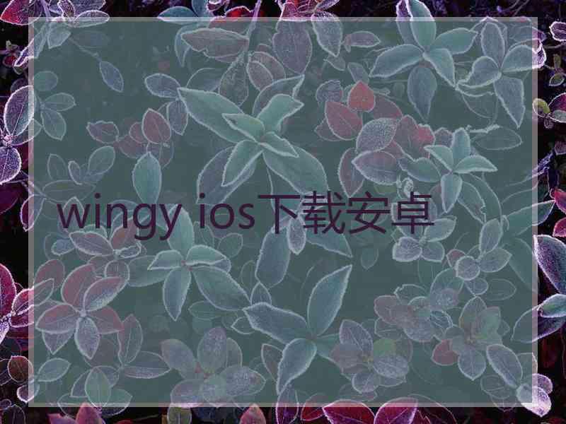 wingy ios下载安卓