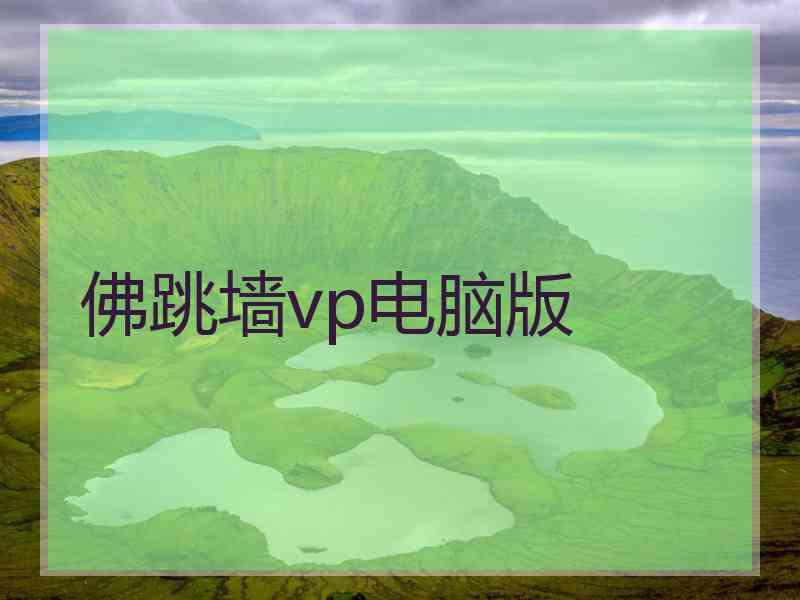 佛跳墙vp电脑版